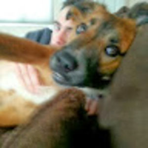 Meet your Posher, Jacob